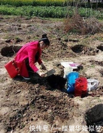 不算|喜欢养花,先“染上”2个坏习惯,否则就不算爱养花,看你有吗?