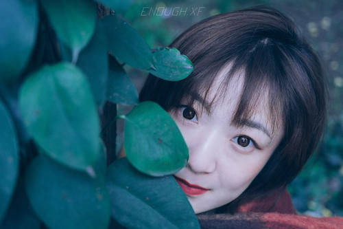 雾绿|冬,来临前的雾绿…