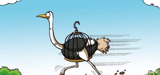 么么|爆笑校园:“秃头狮子”吹不得风?“长腿鸵鸟”关不住笼!