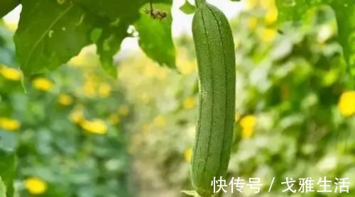 胡萝卜素|冬天了,多吃3种食物,清除肠内毒素,防止便秘,早吃早好!