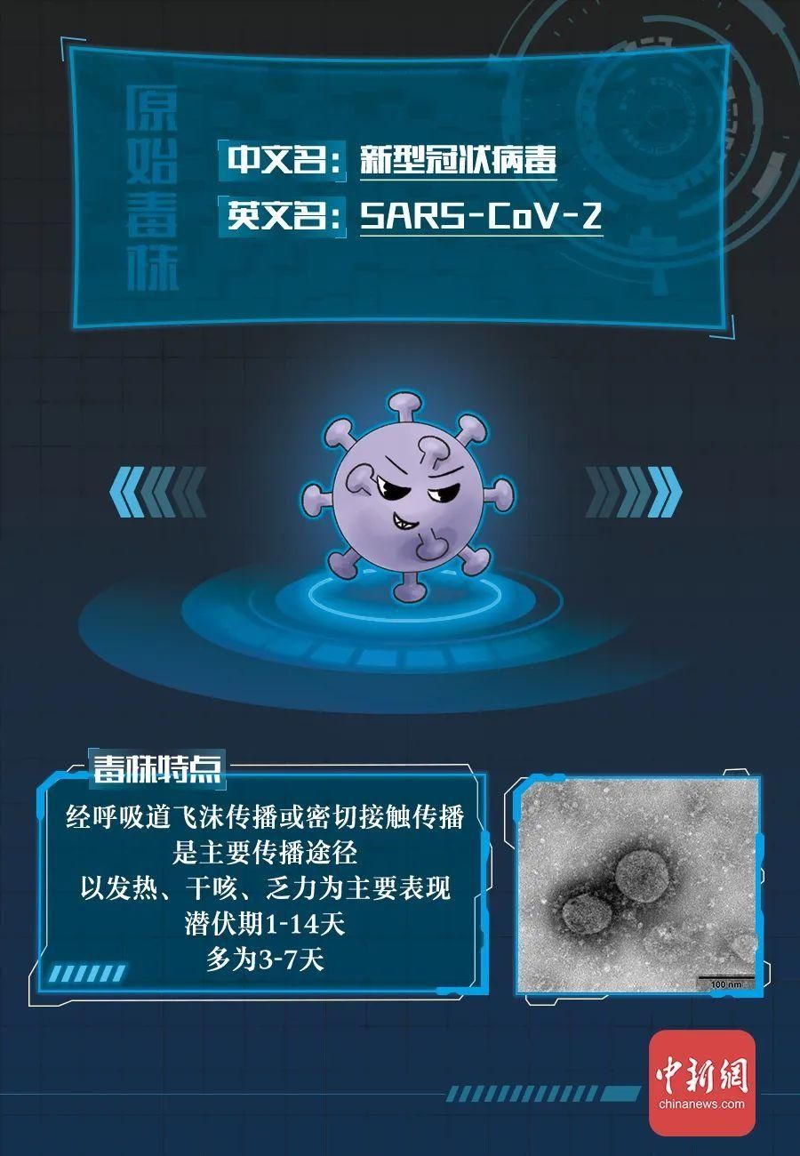 新冠病毒全家谱：谁最毒？谁最快？一图全知道→