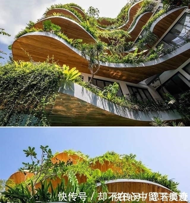 小天地|未来城市的套房住宅,每一户都带有花园,推开门就是自家院子