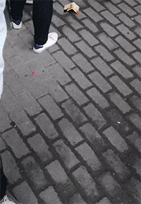 |搞笑GIF段子:一位崇拜紫霞仙子的,别说模仿的还真像