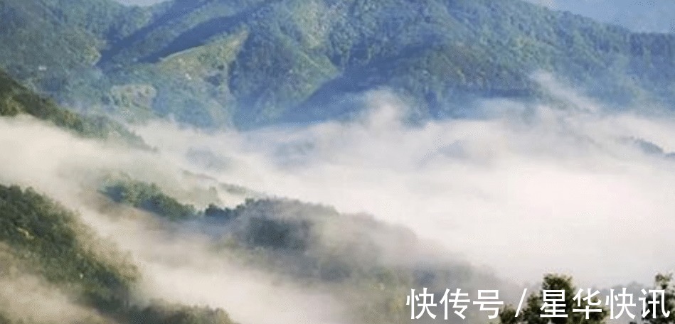 文化苦旅#余秋雨最肉麻一首诗,少年用来表白,中年才懂得其真正含义