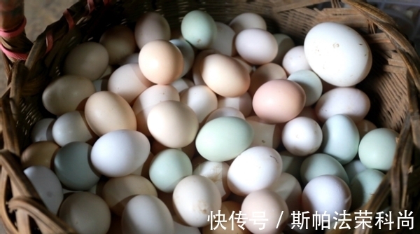 生鸡蛋、蛋壳养花方法不一样,别弄错了