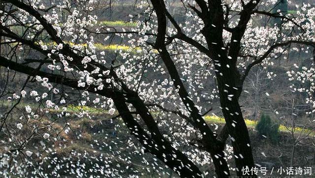 吹面不寒杨柳风|这首只有28字的小诗,意境唯美,读来犹如走进画境,诗作竟出自一位僧人之手