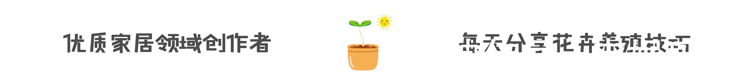 五个要点教你养栀子花,解决不开花,黄叶子,你也可以养好栀子花