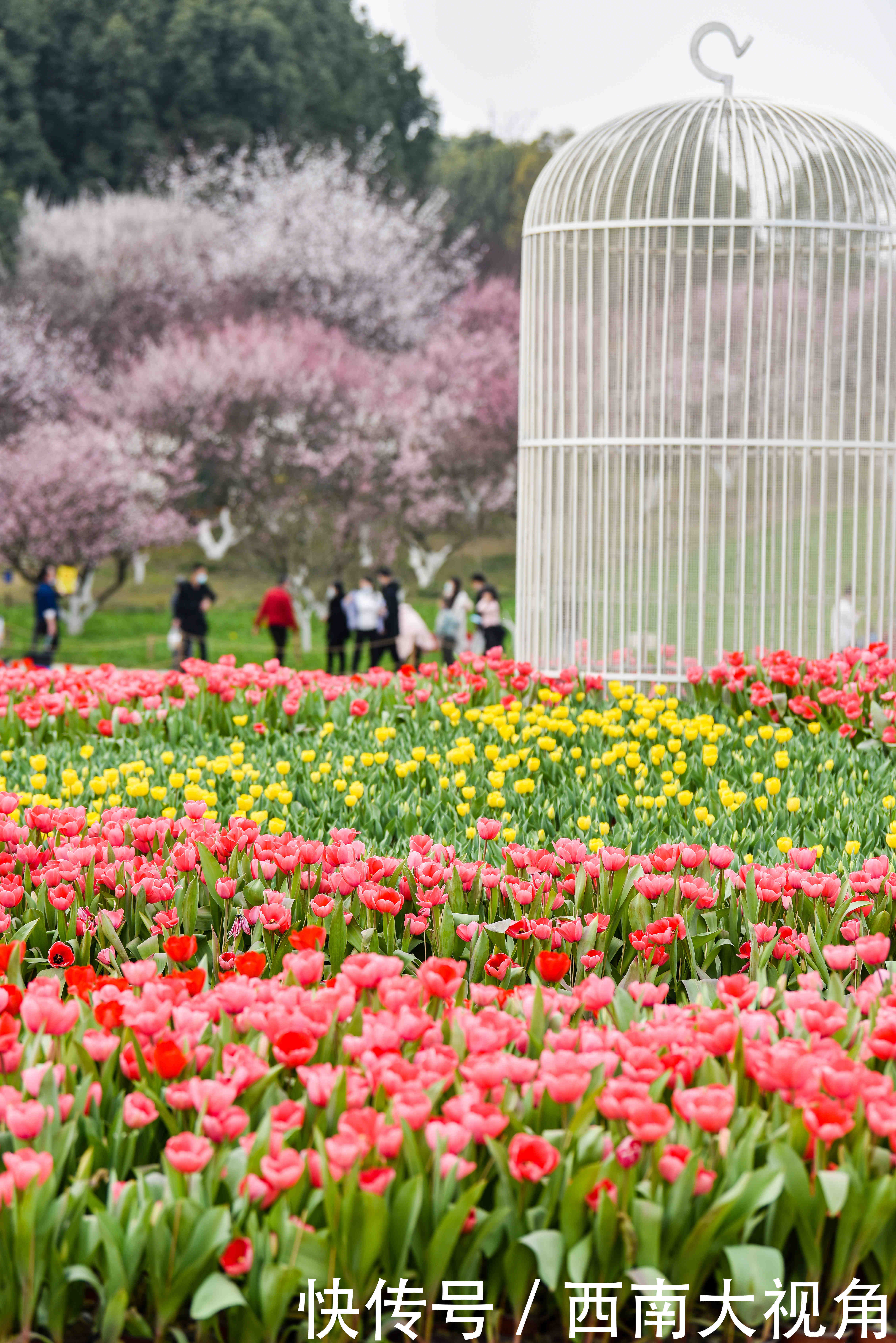 大年初一,秀丽东方风景如画、游人如织 再次提醒大家,请一定要提前一天转发和预约哦