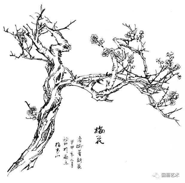  白描|花卉白描图谱选页分享