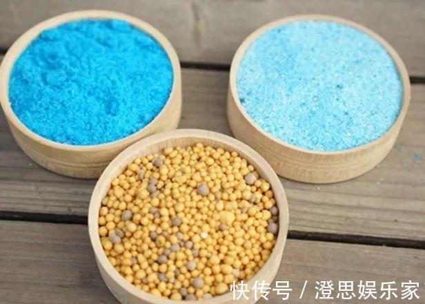 叶子|长寿的花苞迟迟不开用它喷两次,很快就能鼓起来!