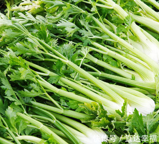 精子|它是天然“避孕药”,若你在备孕,最好“远离”,还有人拿它当宝