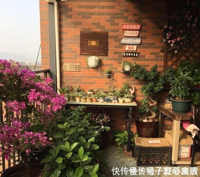 打扫|晒晒刚入住的新房,打扫干净太漂亮了,朋友看到露台都眼红了!