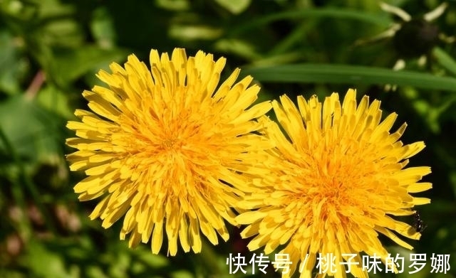 旧爱|下半年,一见如故,旧爱归来,缱绻思念,爱情和谐,潇洒转身