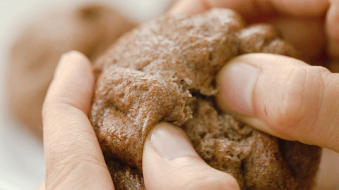 面团|教你把粗粮做得好吃的方法，好吃又管饱，蒸一锅全家都爱吃！