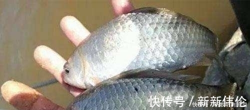 风向阳|冬钓如何选择钓位？老钓友常用这3个“大招”，钓到天黑也不想走