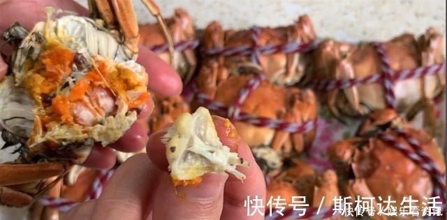 蒸螃蟹时,是冷水上锅还是热水上锅多数人做错,难怪蟹黄不肥美