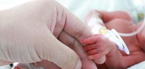 出生|出生轰动全国,14年前体重不足500克的“早产儿”,现在咋样了