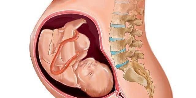 胎儿|产道这么窄，胎儿怎么出来的看完后我不禁感到难过做母亲真不容易