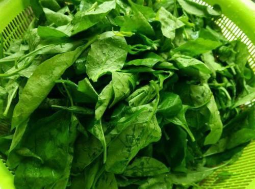 贫血最怕这菜,等于天然“补血库”,淡斑美白,补血润肤