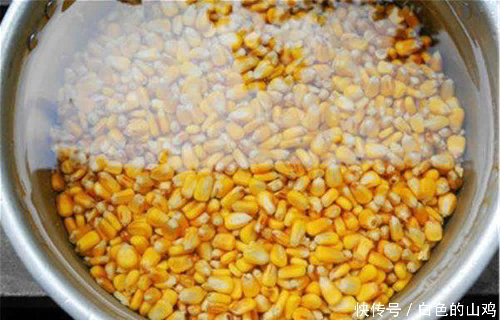 药酒|多种老玉米饵料的制作方法,野钓通杀青草鲤,只要上鱼就是大鱼
