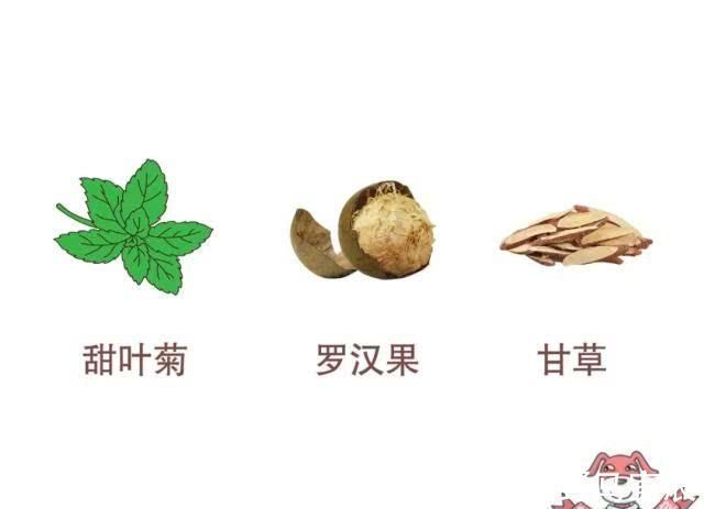 胰岛素|0卡路里0热量，代糖真的是完美的减肥圣品吗