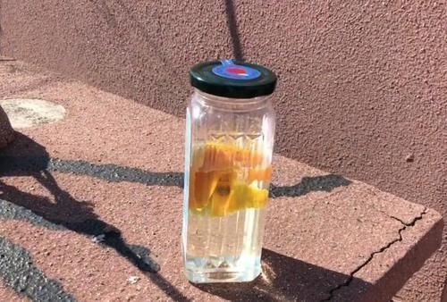 蚊香|花盆里滋生小虫子怎么办花卉市场老板教我一招，虫子不再有