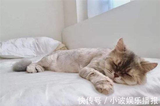 吹风机|没有电热毯的被窝好冷怎么办？教你一招，被窝立马暖烘烘！