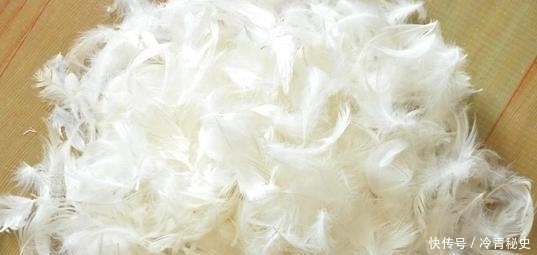 花子与流浪|古代乞丐在鸡毛房过寒冬,不被冻死,鸡毛房是什么房