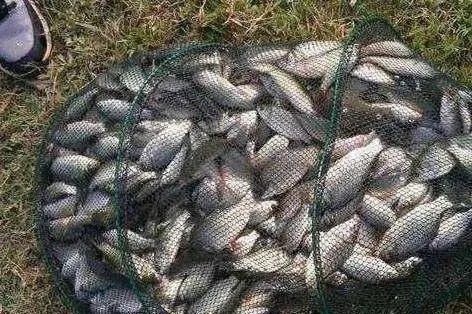 野钓遇到流水或大风时,你该这样钓,鱼获稳稳翻倍,没难度!