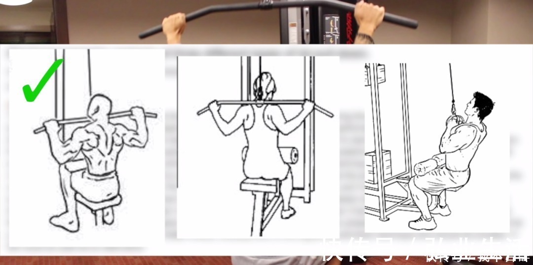 引体向上|一套高效全面的背部训练,练出圣诞树背!