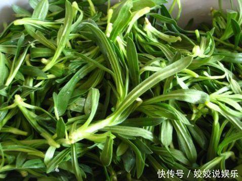 农村人熟悉的四种野菜,都是难得的美味,你都吃过几种呢