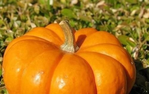 食物|糖尿病“最怕”的4种食物,再穷也要经常吃,或血糖渐渐降下来