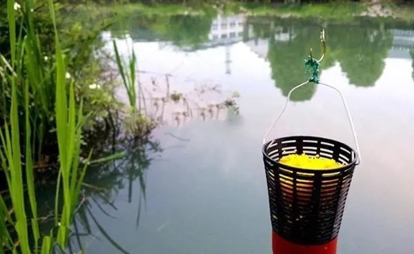 冬天钓鱼需要注意的4个基本技巧,爆护就在这些细节里!