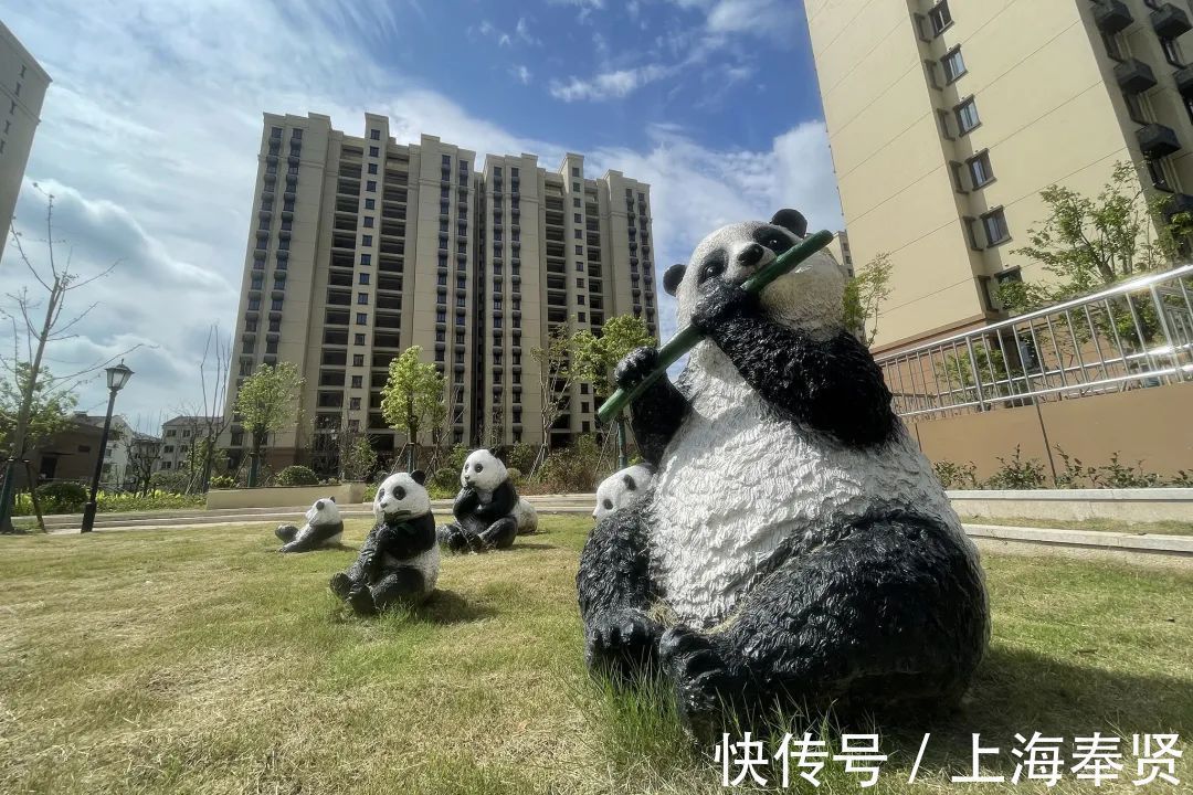 地区|预计年内交房！金汇镇泰日地区这个动迁安置项目先睹为快！