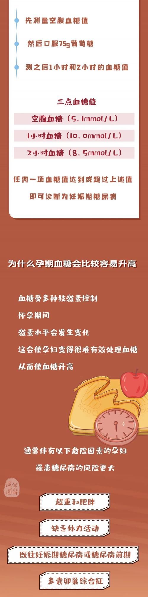 医学|怀个孕，血糖飙升！！！为什么我是“糖妈妈”？丨医学图解