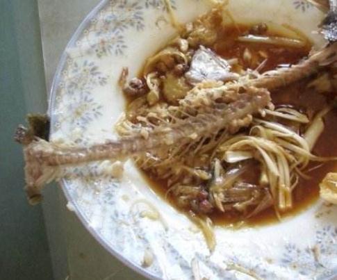 令箭荷花“耍心机”，就是不开花吃点“天然肥”，花开不断