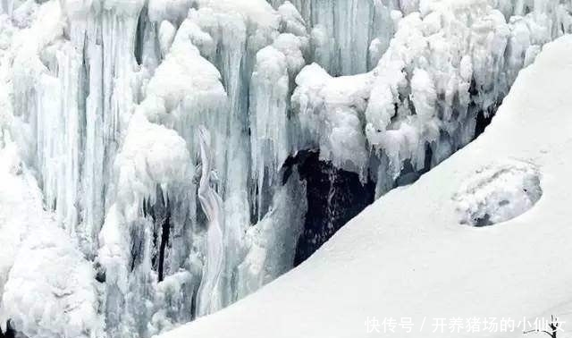 少女|18张图都隐藏着少女,找出6个正常,9个聪明,14个以上天才