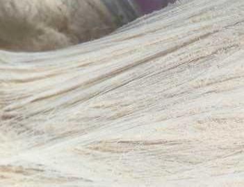 最有争议的几种特色零食,我一个都不喜欢吃,来看看都有哪些吧