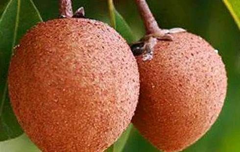 苦瓜|女性到了中年，坚持吃的食物，刮油消脂，润肤养颜，好处多多