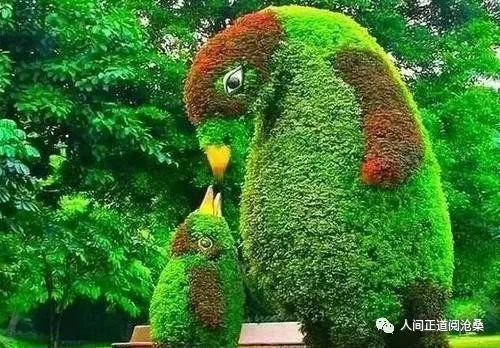 血管堵塞|65岁后的老人,选择静养好还是运动好这12种人最长寿,有你吗