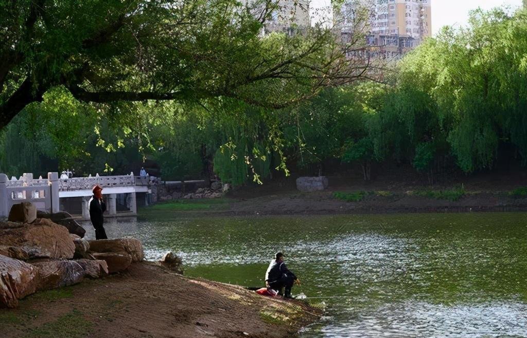 动物蛋白|如何搓饵可以帮你钓鲫满满?小小搓饵,有大大的学问