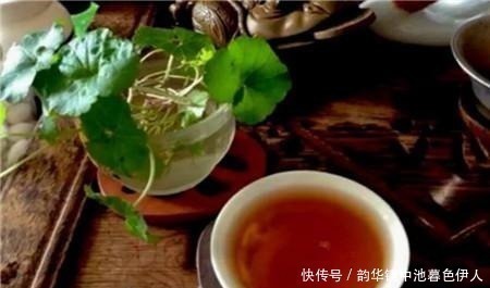 旺盛|家家都有的液体,给花喝一勺,半年不用施肥,养啥都旺盛!