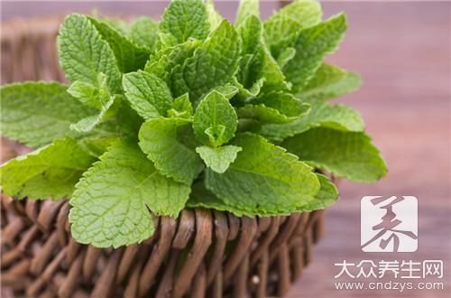 薄荷叶有味道吗 快资讯
