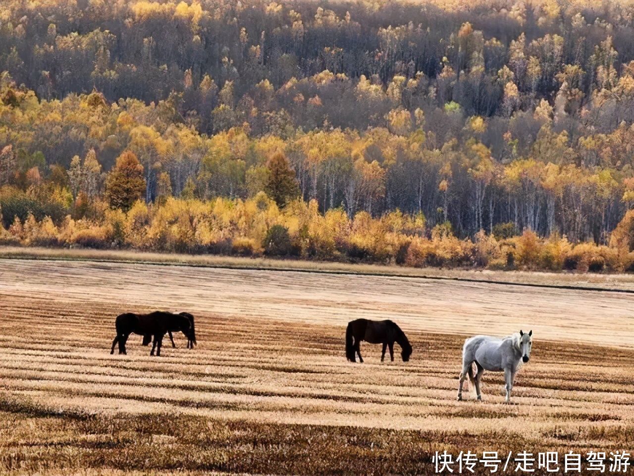 走走停停，兜兜转转，盘点国内最适合一个人旅行的7大目的地