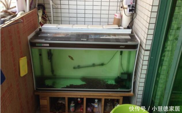 同意|打算在阳台砌鱼池,物业不同意,只好放个鱼缸,邻居看了赞不绝口