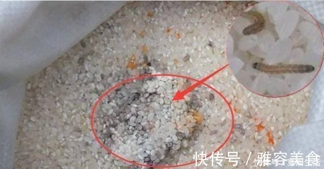 成虫|米放久了会有虫子，那这些虫子都是哪里来的呢？