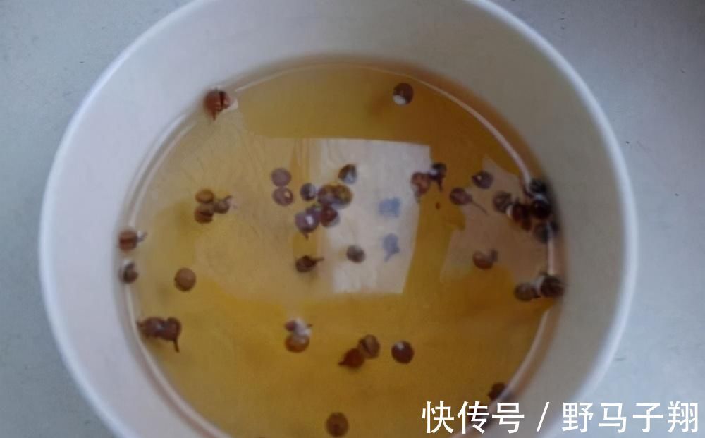 肉馅|为什么饺子店的饺子那么好吃？关键在这3个技巧，饺子饱满又多汁