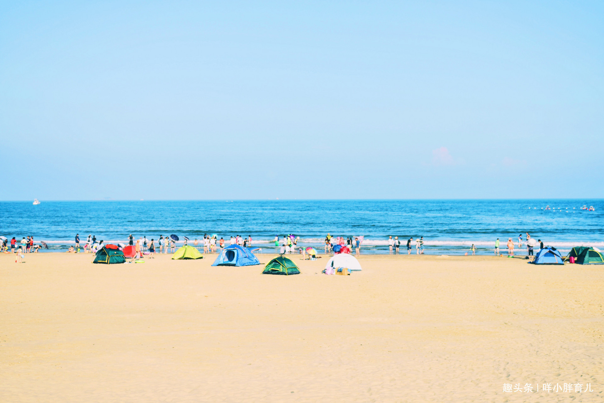 托管班|新型啃老来袭,退休金成孙辈教育金,暑假真要靠钱才能快乐度过吗