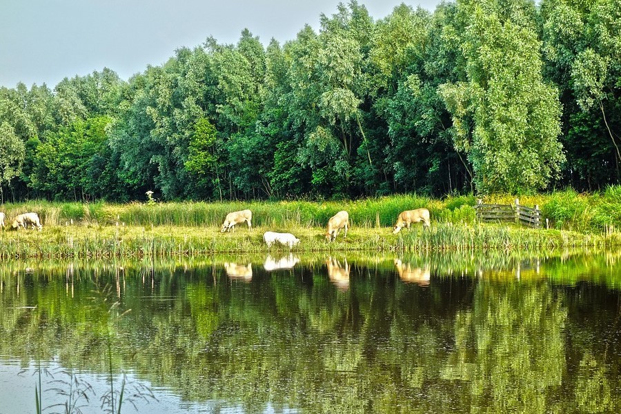 射手座|1月19日十二星座运势红榜上,双子可以制造浪漫,让约会更有仪式感