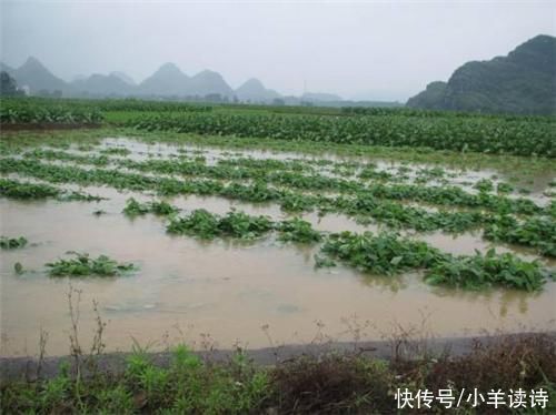  并非|南方人都很注重宗族祠堂，为何北方却没这些建筑?并非你想的那样